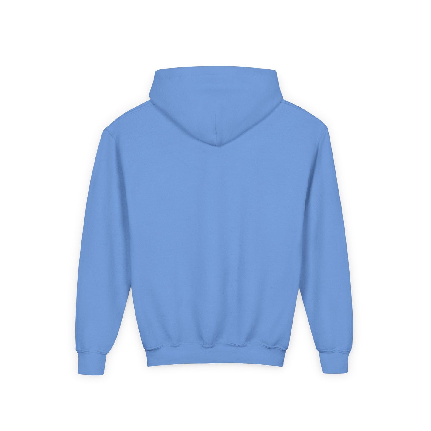 CAME TO RAKE Youth Hoodie