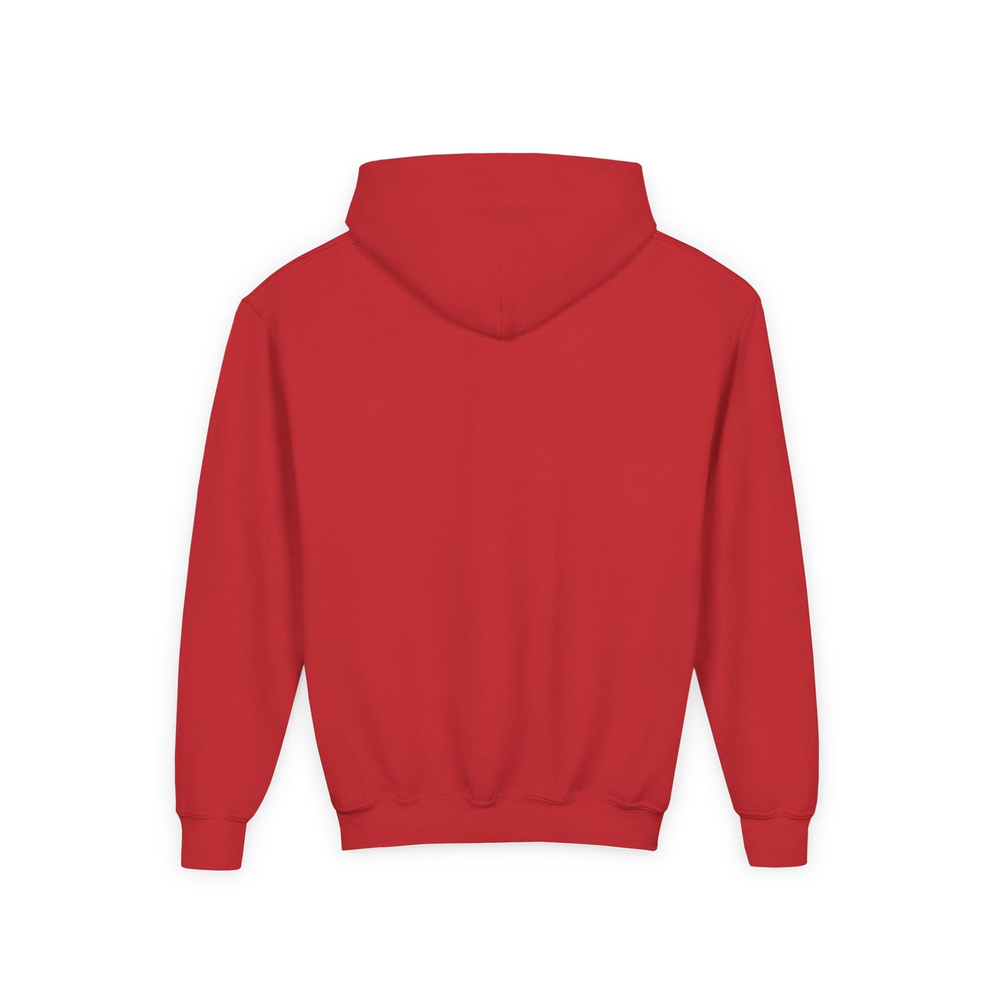 CAME TO RAKE Youth Hoodie
