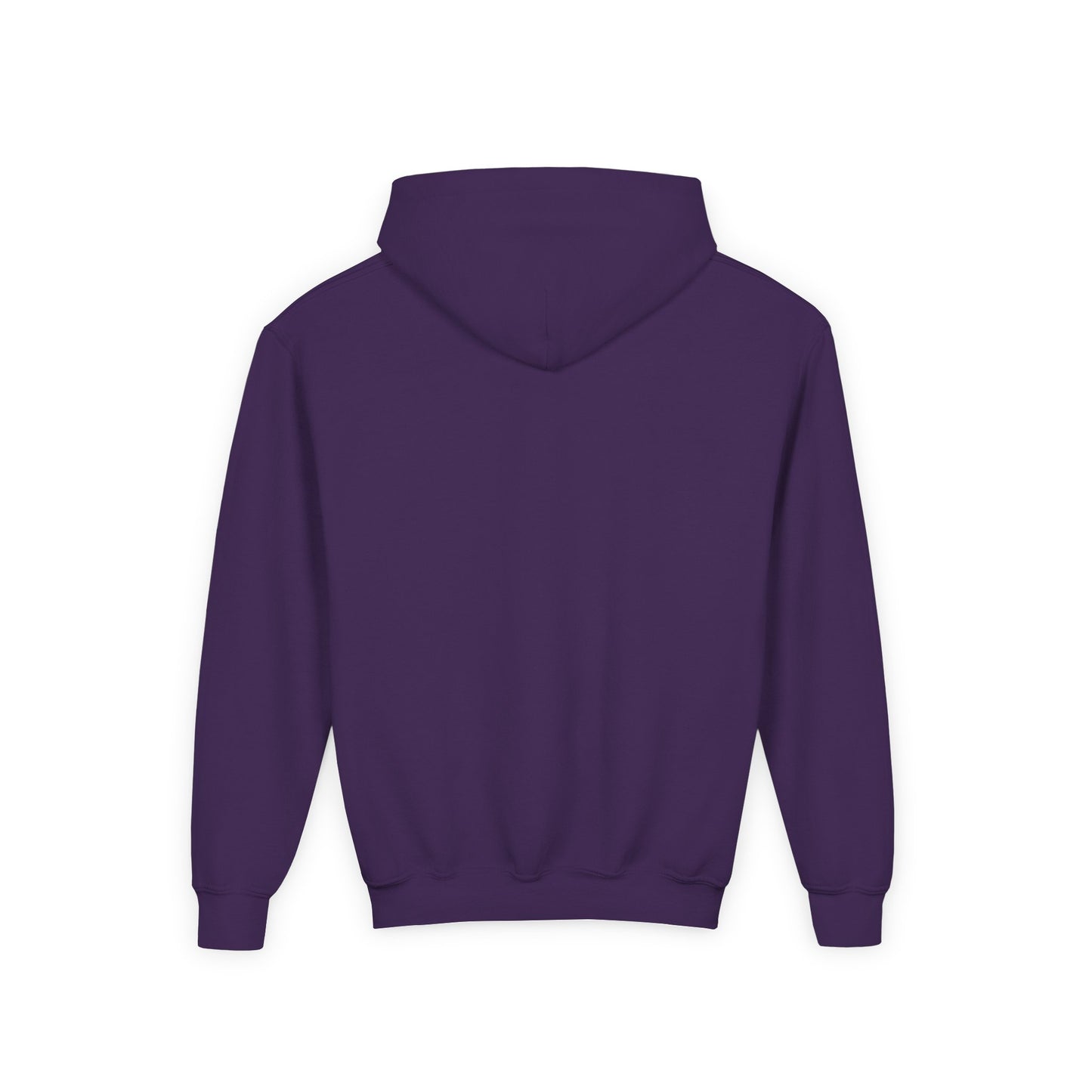 CAME TO RAKE Youth Hoodie