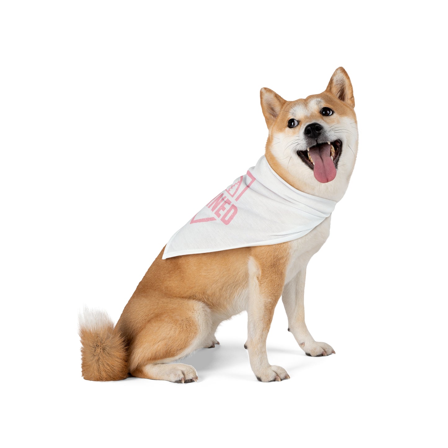 EARNED Dog Bandana - BARK PARK Collection