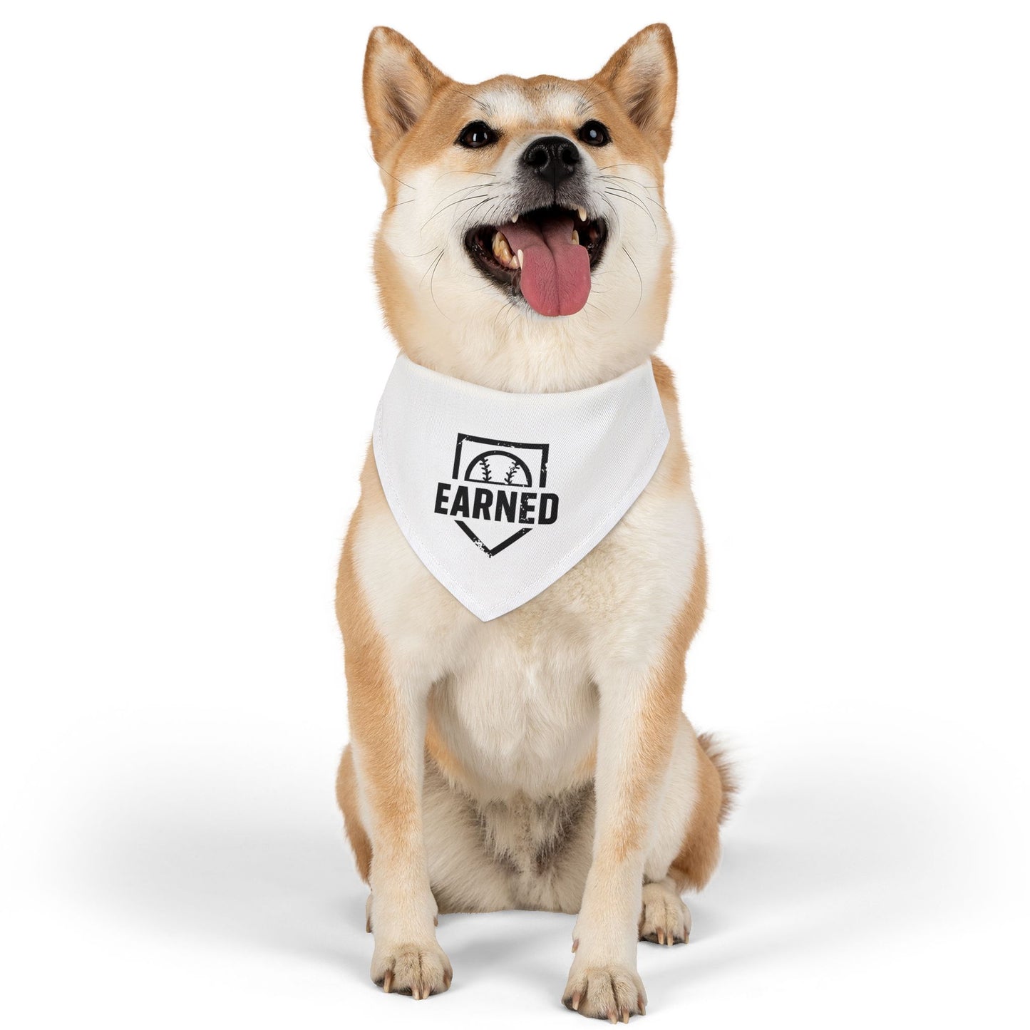 EARNED Dog Bandana Snap Collar - BARK PARK Collection