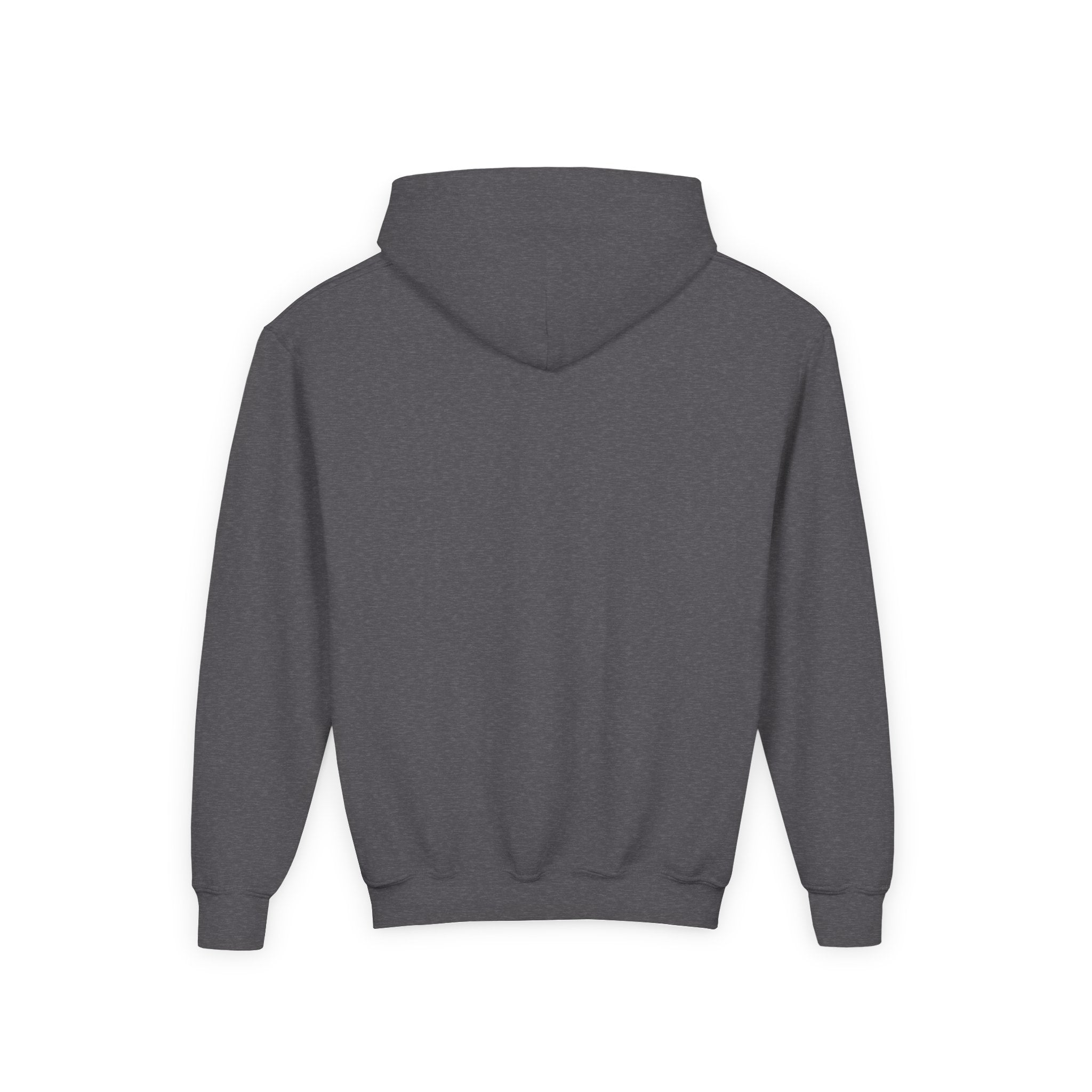 COOL DOG Youth Hoodie - BARK PARK Collection