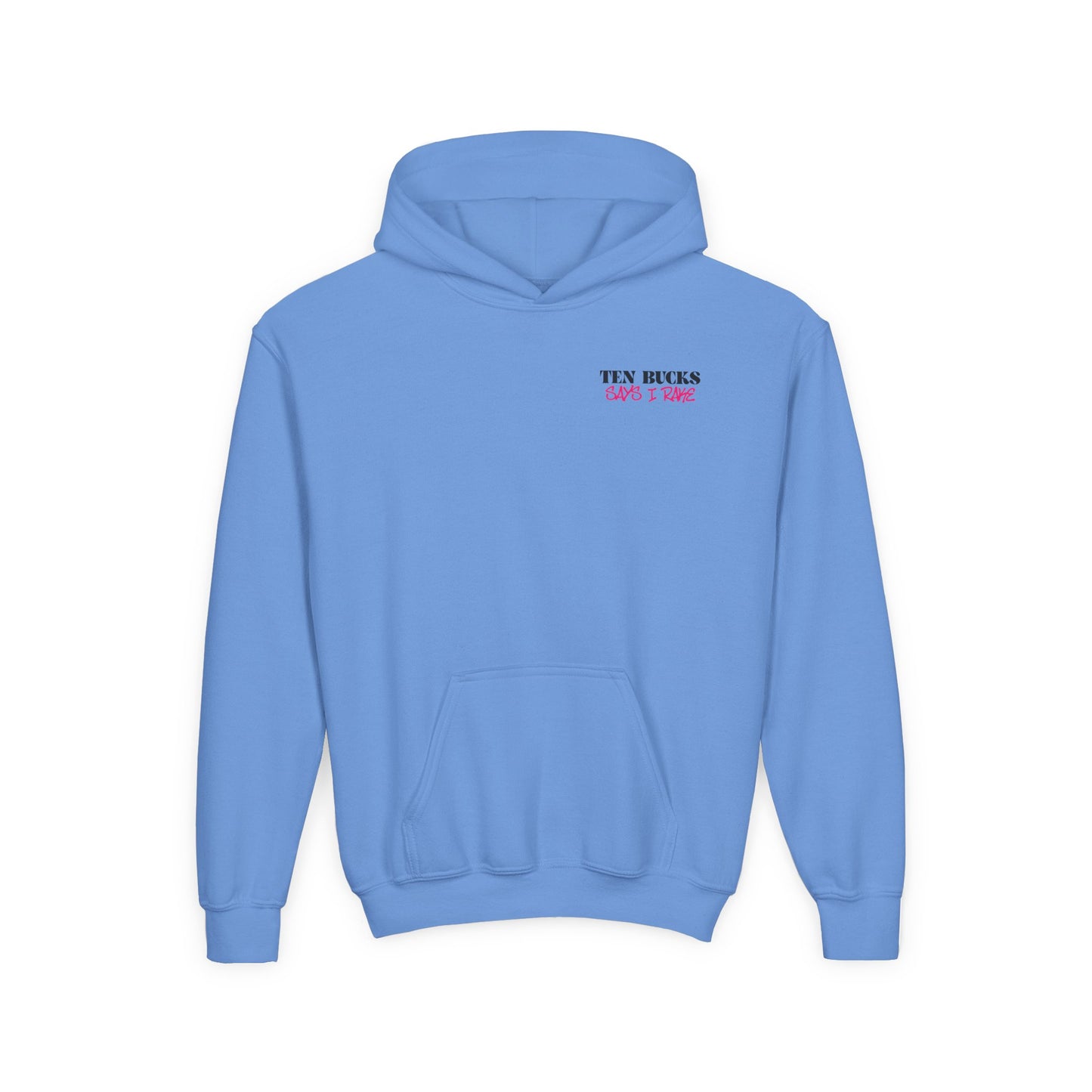 TEN BUCKS SAYS I RAKE Youth Hoodie - AMERICA 250 Collection