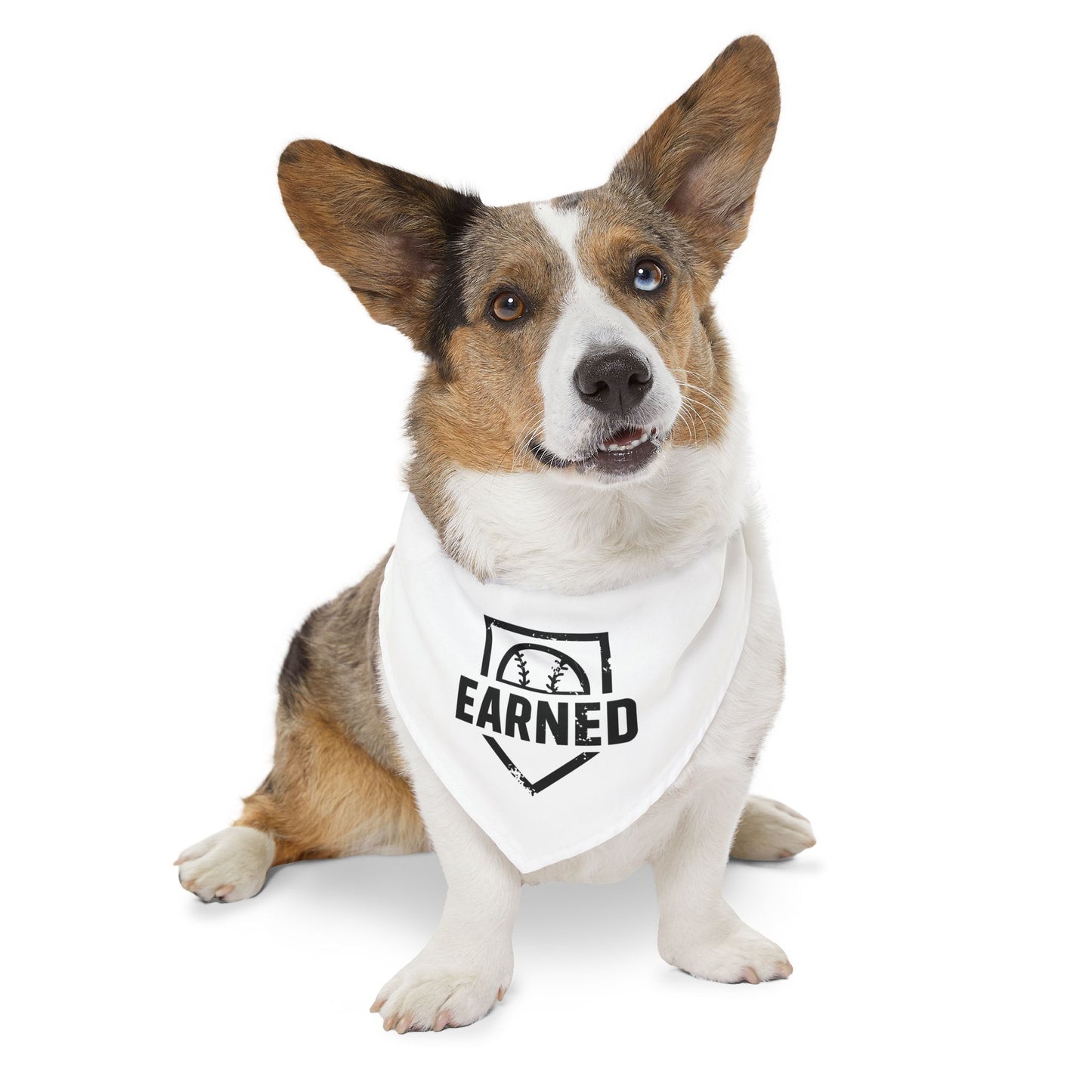 EARNED Dog Bandana Snap Collar - BARK PARK Collection