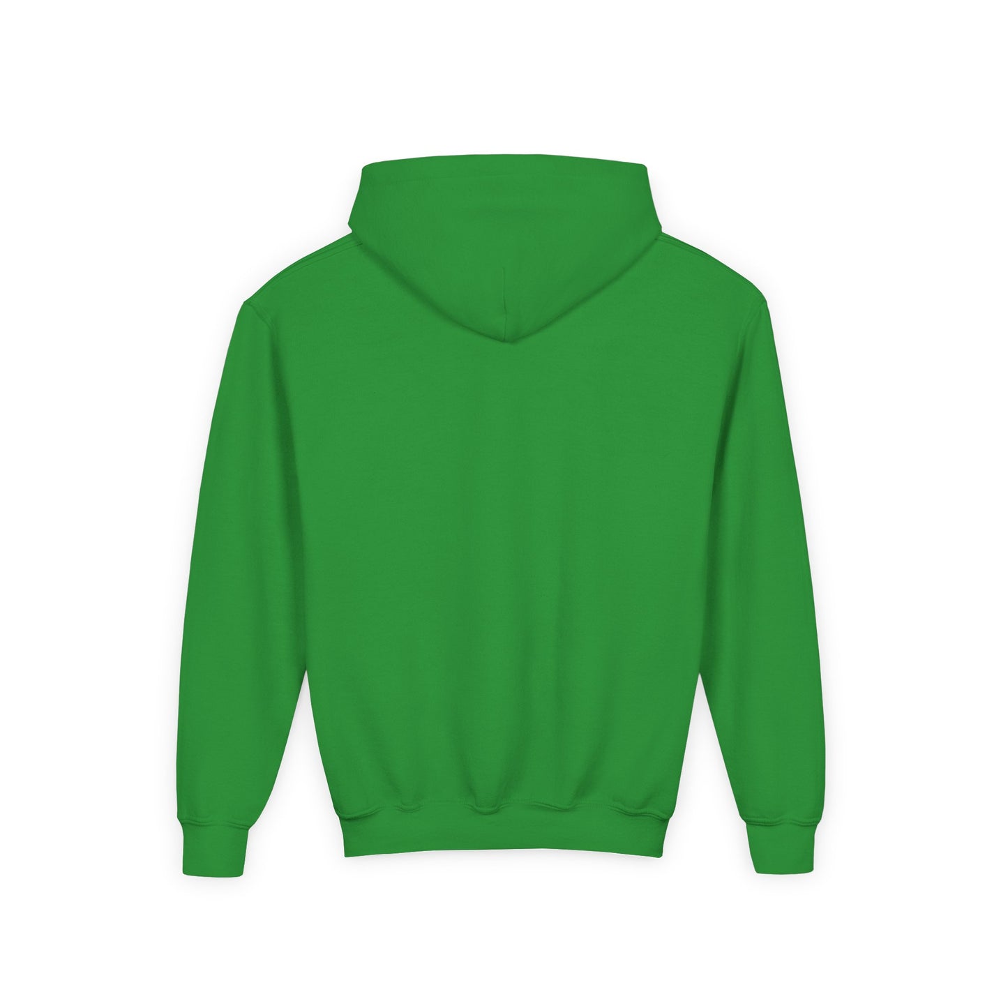 CAME TO RAKE Youth Hoodie