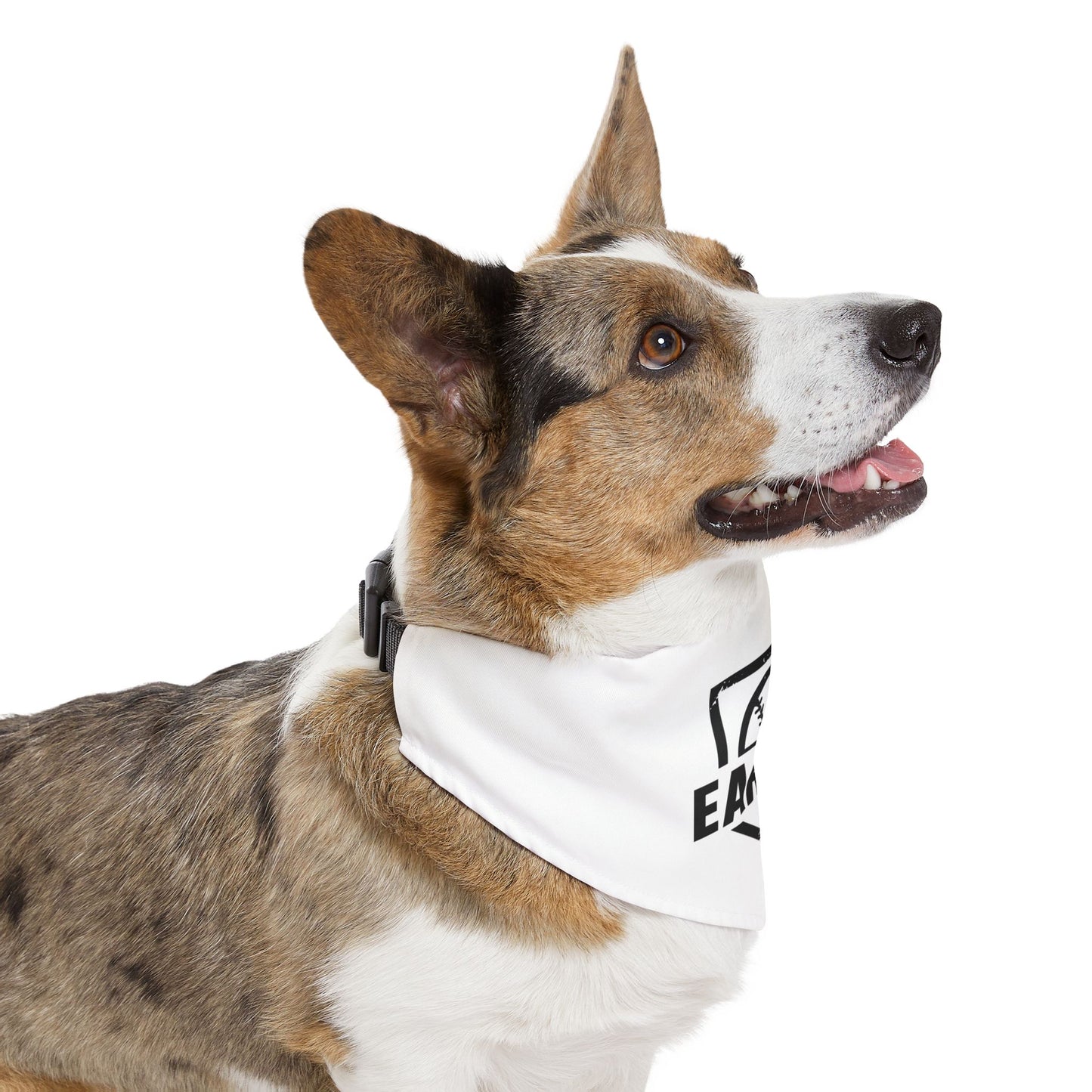 EARNED Dog Bandana Snap Collar - BARK PARK Collection