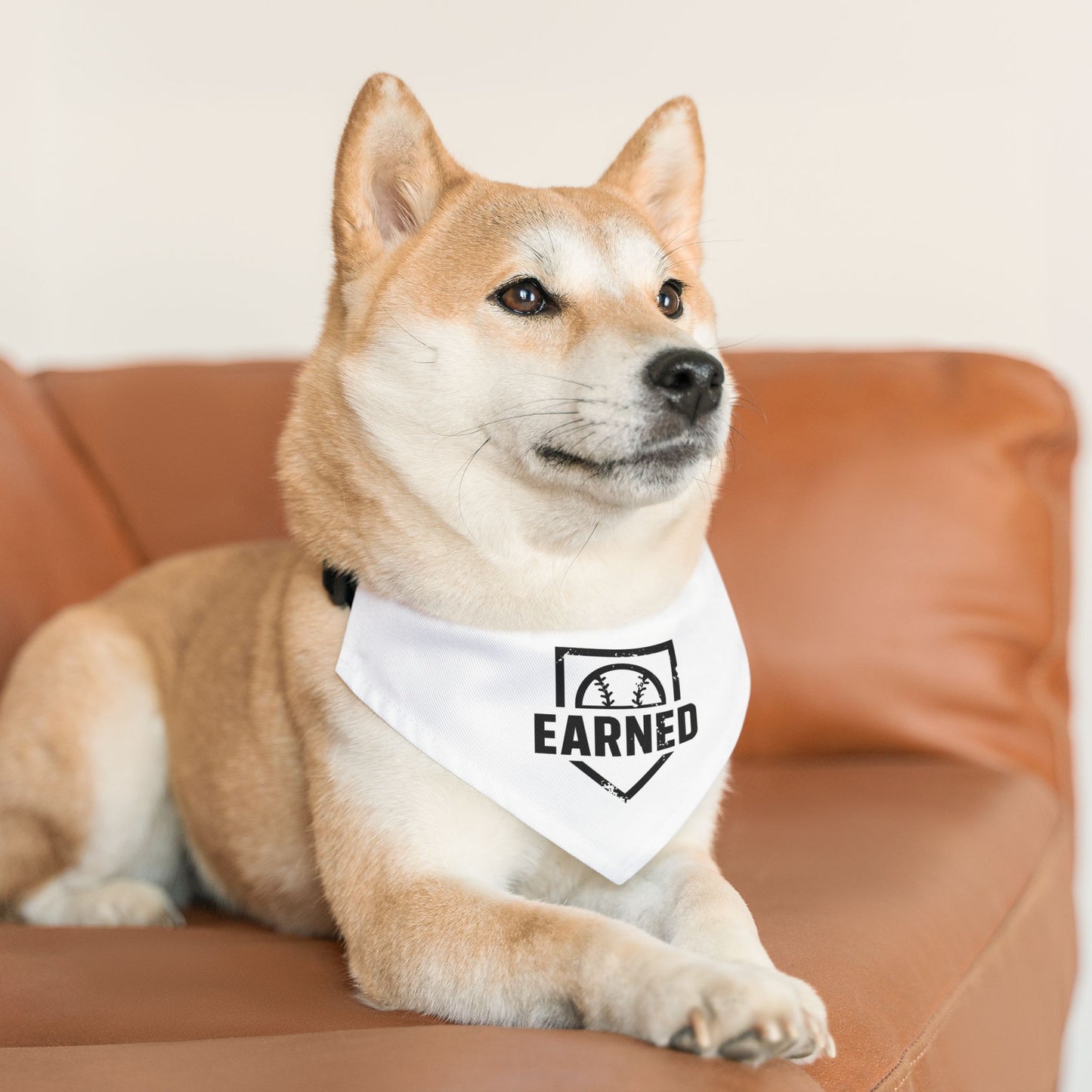 EARNED Dog Bandana Snap Collar - BARK PARK Collection