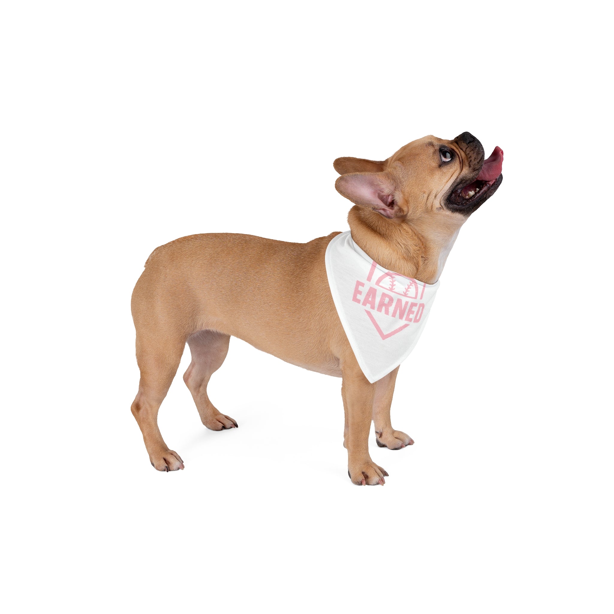 EARNED Dog Bandana - BARK PARK Collection